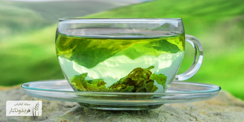 چای سبز و تاثیر آن بر سلامتی