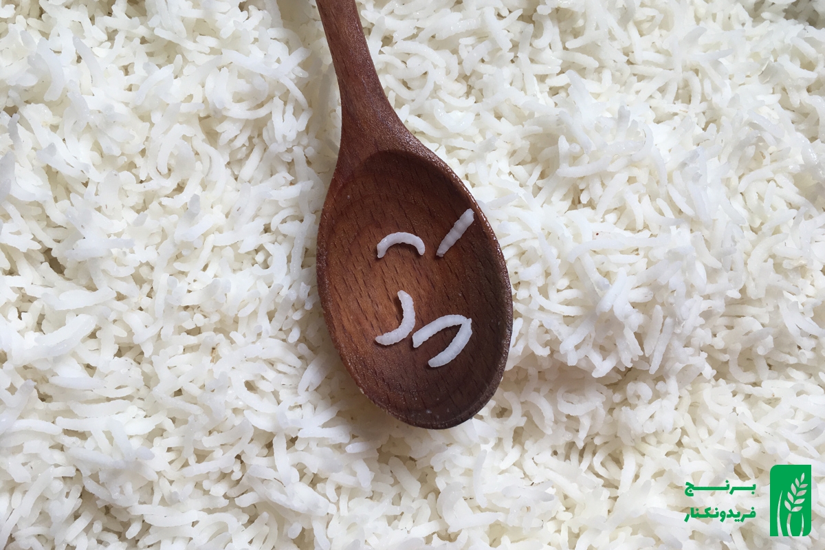 برنج طارم هاشمی فریدونکنار کشت دوم وزن 5 کیلوگرم